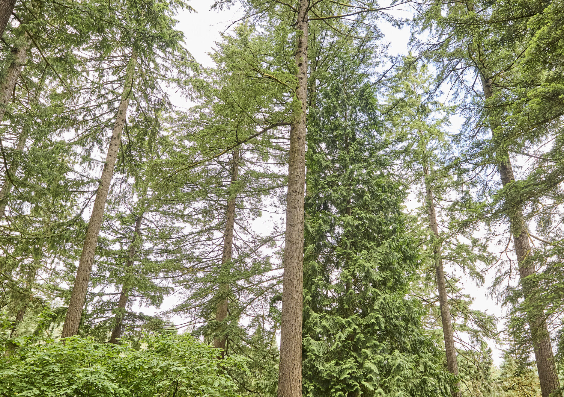 Leave a Lasting Legacy: Ensure Your Estate Benefits Loved Ones & Scouting Amid Potential Tax Changes