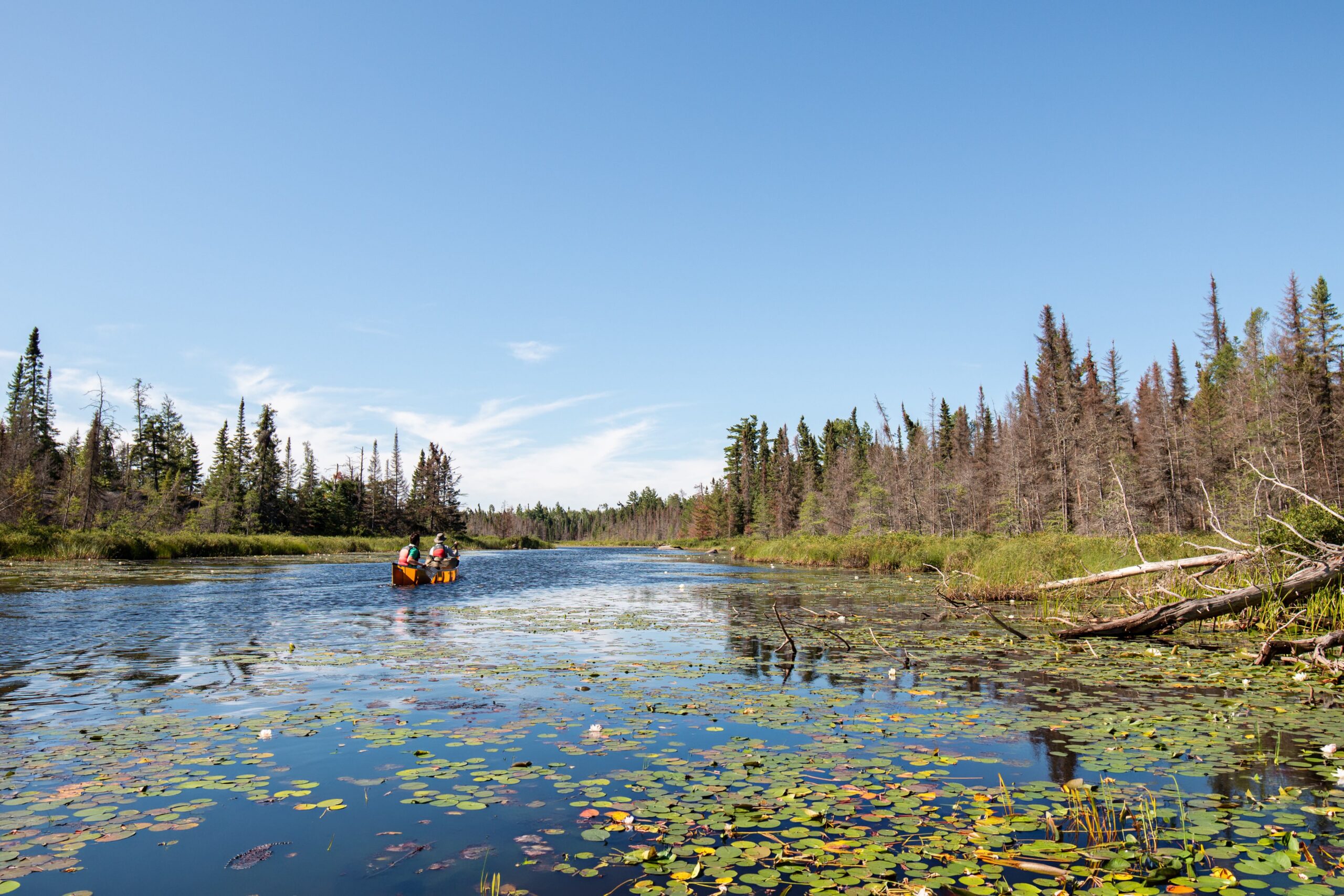 Fun With a Purpose: One Couple Channels Their Love for Scouting Into a Gift for Future Generations